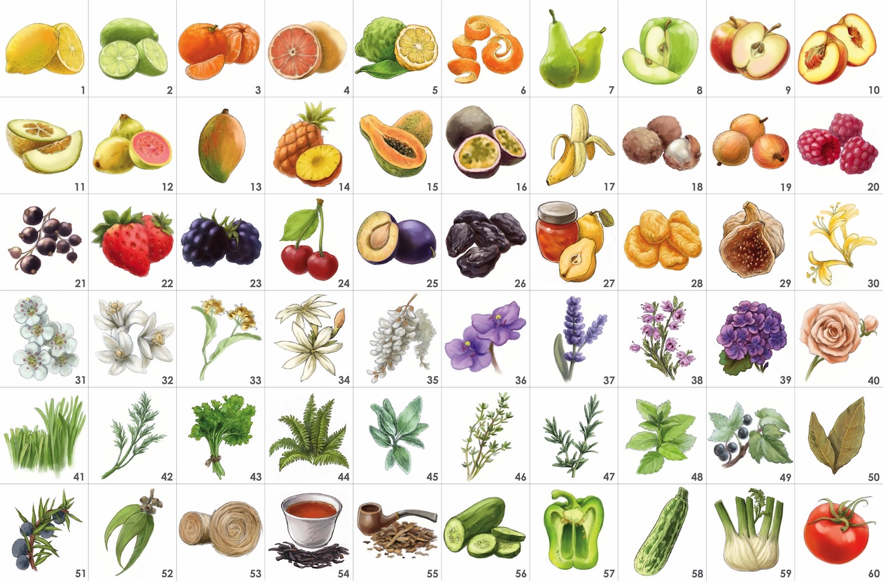 ARO-TE120 illustration board 1-60 outlined Aromaster Aromathèque 120 Aroma's - Afbeelding 3
