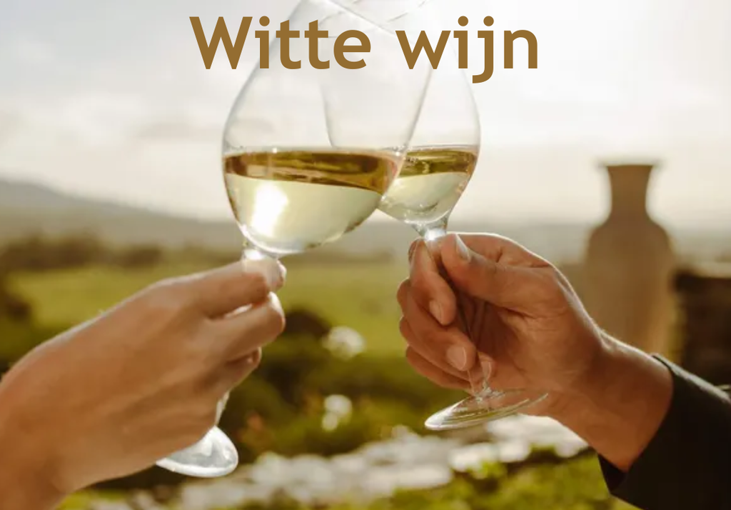 Witte Wijn 2 1024x714